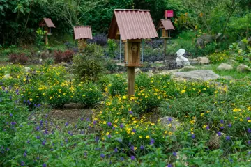 Casa de las abejas y la chagra 