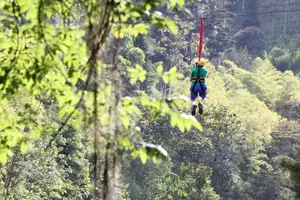 Fortalece el clima organizacional en el Parque Comfama La Estrella, a través de canopy, picnic y más