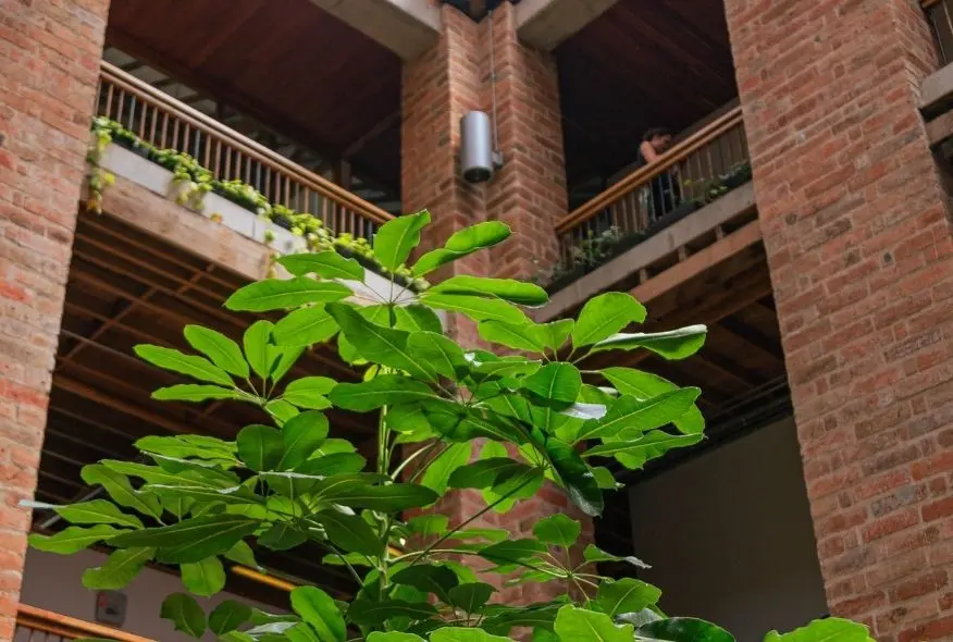 edificio-vasquez-presente