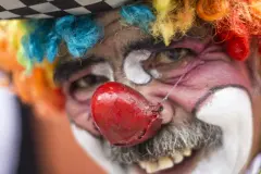 Coquito-cronicas-del-barrio-bello-26