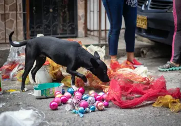 9-rodrigo-diaz-cronicas-del-barrio-orley-mazo-moravia