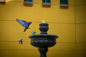 4felipe-acosta-cronicas-del-barrio-diego-echeverry