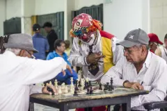 Coquito-cronicas-del-barrio-bello-8