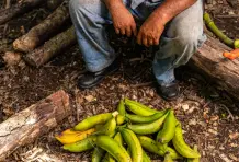 Jesus-maria-cuervo-cronicas-del-barrio-puerto-berrio-18