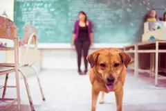 Camila-floréz-cronicas-del-barrio-pedregal-8