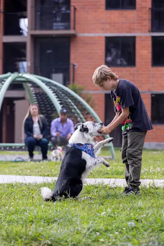 Mejoramiento de vivienda