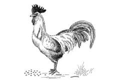 Postales de Antioqua Magdalena Medio