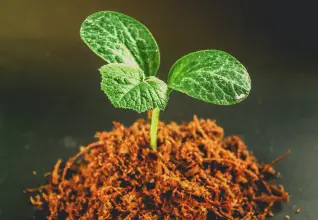 Escuela de naturaleza
