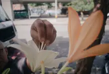 Fernando-ospina-cronicas-del-barrio-aranjuez-20