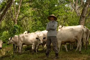 Foto cabecera > Ganadería Biosuroeste