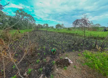 7-edgar-maldonado-pampirucho-cronicas-del-barrio-diego-antonio-canas