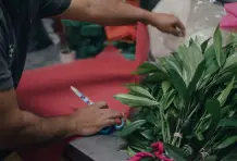 Fernando-ospina-cronicas-del-barrio-aranjuez-7