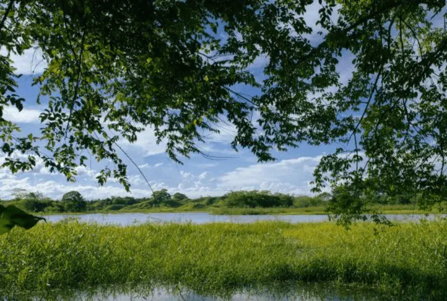 Parque Humedal La Samaria