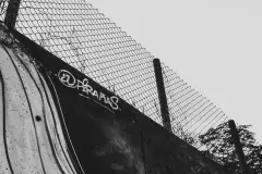 Luisa-fernanda-cardenas-cronicas-del-barrio-pedregal-1