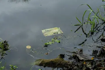 11-edgar-maldonado-pampirucho-cronicas-del-barrio-diego-antonio-canas