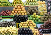 Experiencias Comfama