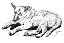 Postales de Antioquia Magdalena Medio