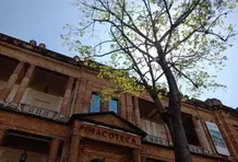 Cabecera Poder transformador del arte_Pinacoteca