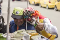 Coquito-cronicas-del-barrio-bello-5