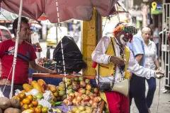 Coquito-cronicas-del-barrio-bello-7