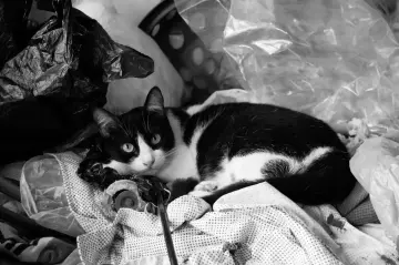 foto2-byron-cronicas-del-barrio-juan-jose-henao