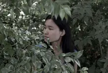 Cinema Comfama Digital