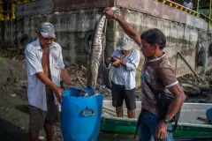 Pablo-muñoz-cronicas-de-la-region-puertoberrio-49