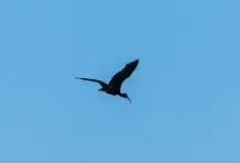 Artistas que nos visitan