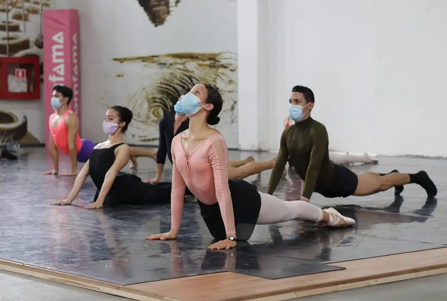 Imagen Programación