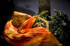 Diana-Amaya-cronicas-de-la-region-la ceja-32