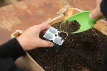 wellness-del-campo-a-la-mesa