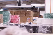 wellness-capital-humano