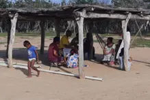 wayuu-palabrero