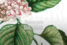 ¿Cómo despolarizarnos?