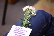 Wellness - Cierre ML