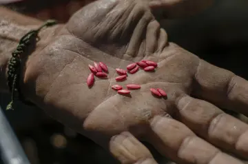 2-edgar-maldonado-pampirucho-cronicas-del-barrio-diego-antonio-canas