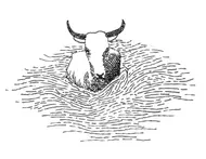 Postales de Antioquia La Pintada