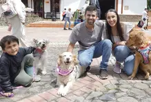 Macotas Parques y sedes