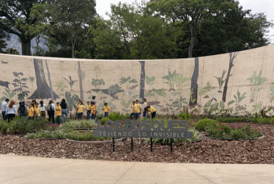Exposición: Los bosques tejiendo lo invisible