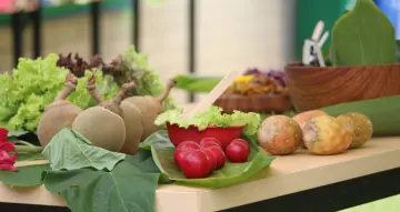 Banner - Conectores de Progreso