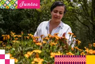 Informe de gestión 2025 - Cabecera sostenibilidad