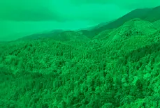 Biosuroeste: un emprendimiento social con propósito compartido