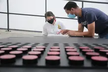 Conoce este servicio