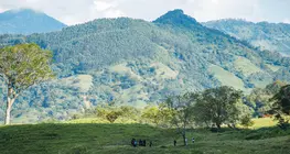 Banners-internos-biosuroeste