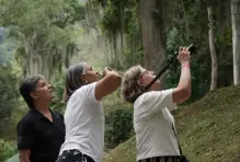 Grupo de señoras observando naturaleza