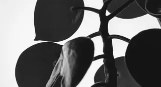 medellin_a_solas_corazon_de_hombre