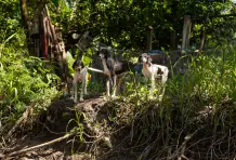 Jesus-maria-cuervo-cronicas-del-barrio-puerto-berrio-5