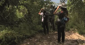 Viajes empresariales