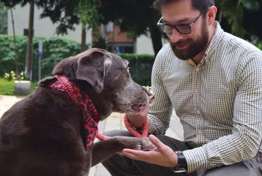 Imagen ¿Tienes mascotas?