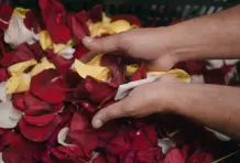 Fernando-ospina-cronicas-del-barrio-aranjuez-15